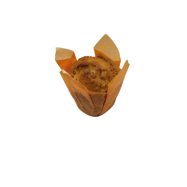 BIO VEGAN MUFFIN CAROTTES
