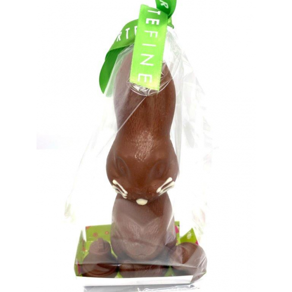 BIO LAPIN ET 2 OEUFS PRALINES